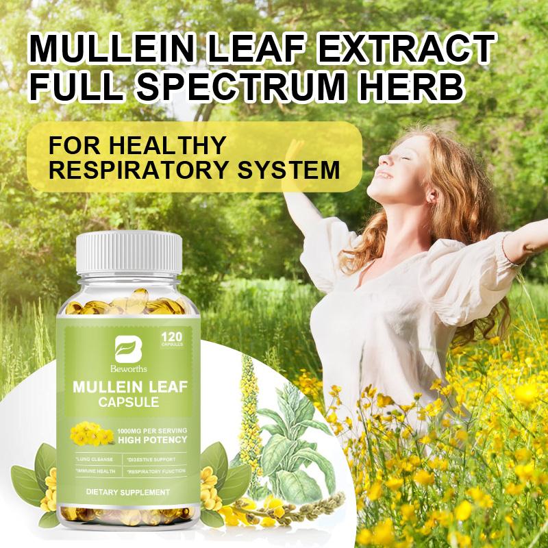 Bottle of Mullein Leaf Extract capsules with a woman in a field of flowers and greenery.