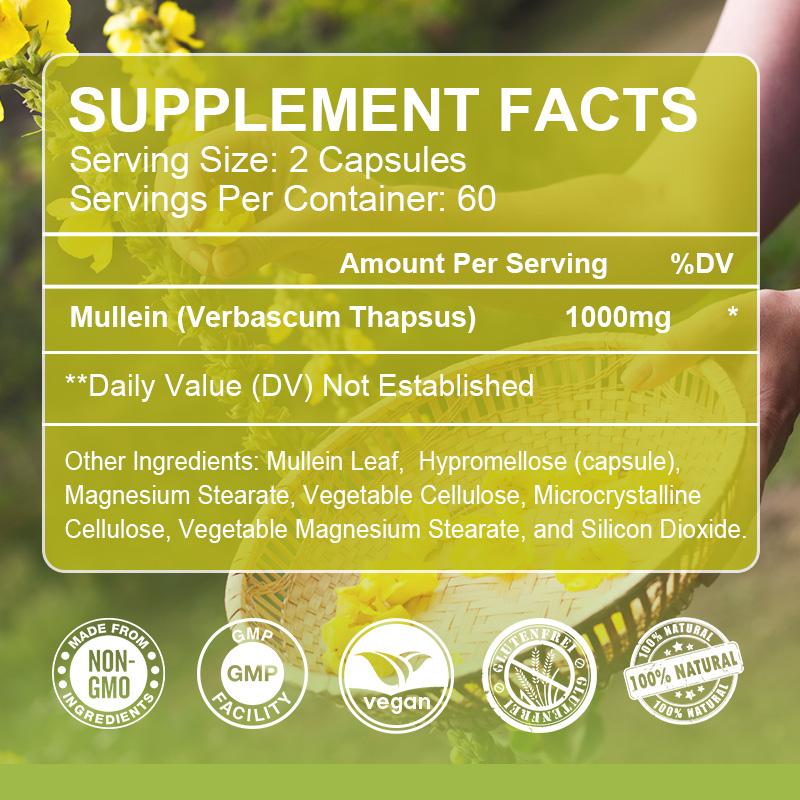 Supplement facts label with mullein extract on a green background