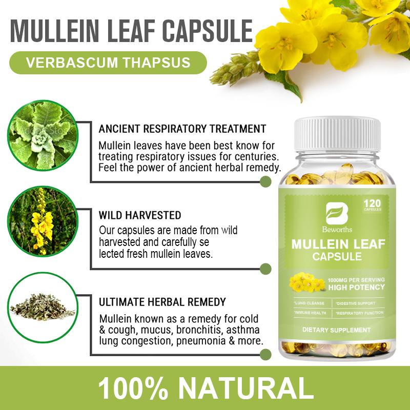 Bottle of Mullein Leaf Capsules with botanical images and text on a white background