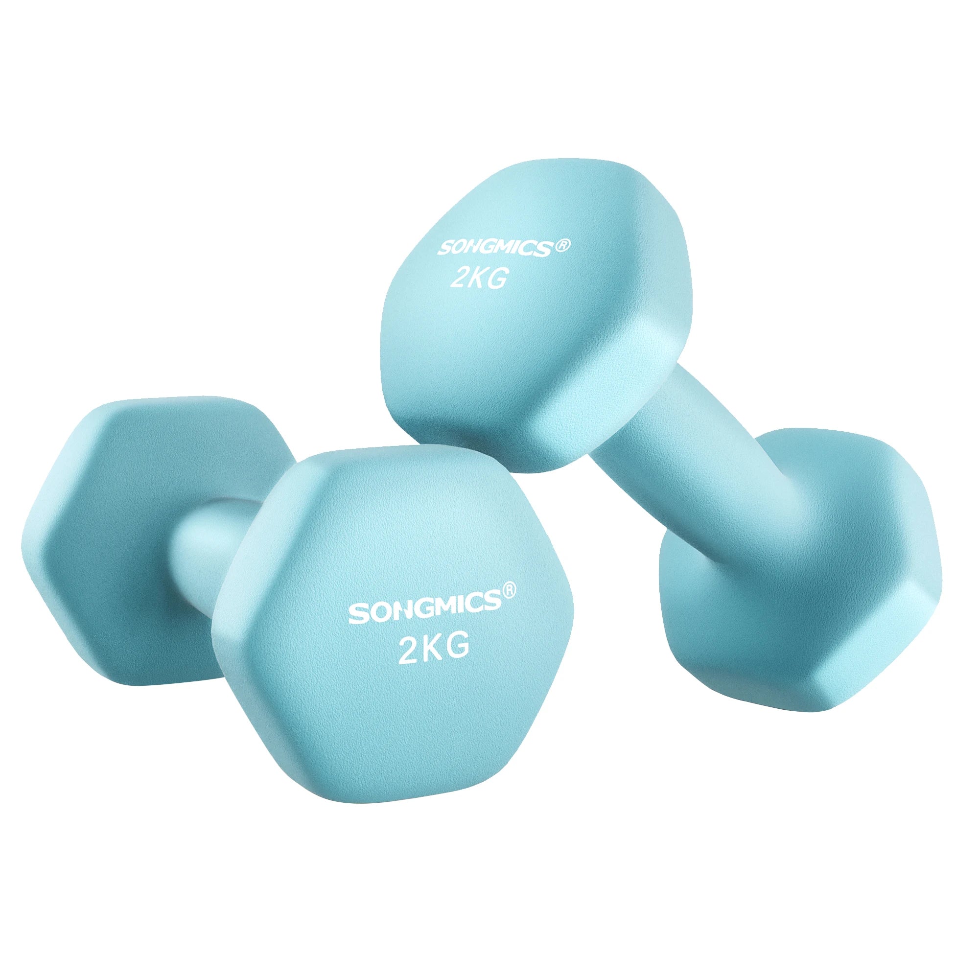 Pair of light blue dumbbells with 'SONGMICS' branding on a white background